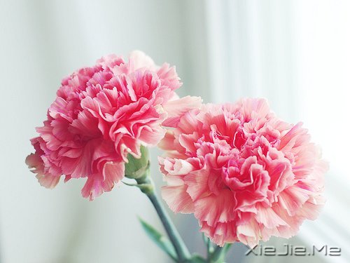路过青春一阵子,记忆里搁浅一辈子 (1)